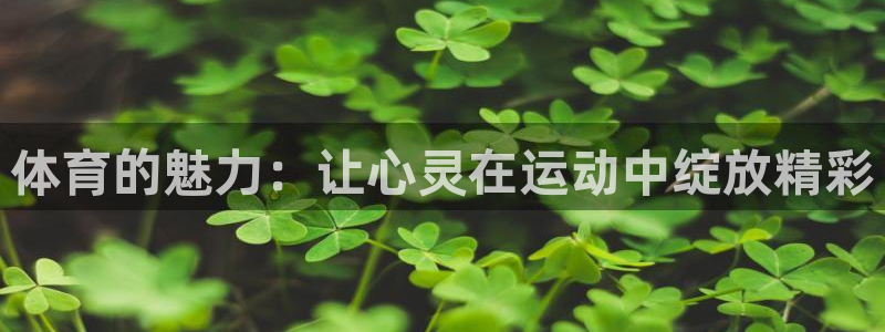 77体育官网：体育的魅力：让心灵在运动中绽放精彩