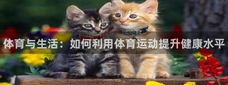 77体育：体育与生活：如何利用体育运动提升健康水平