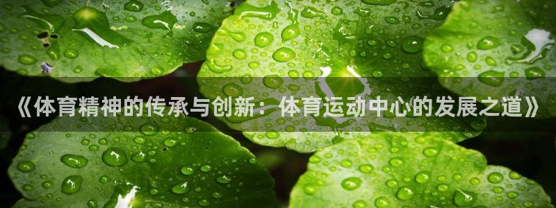 77体育官网：《体育精神的传承与创新：体育运动中心的发展之道》