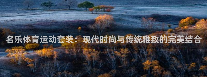 77体育官网：名乐体育运动套装：现代时尚与传统雅致的完美结合
