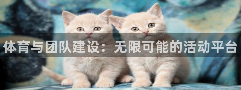 皇冠277体育：体育与团队建设：无限可能的活动平台
