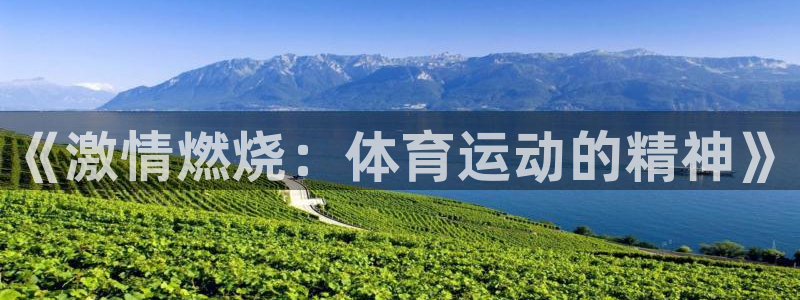 皇冠277体育：《激情燃烧：体育运动的精神》