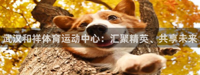 77体育官网：武汉和祥体育运动中心：汇聚精英、共享未来