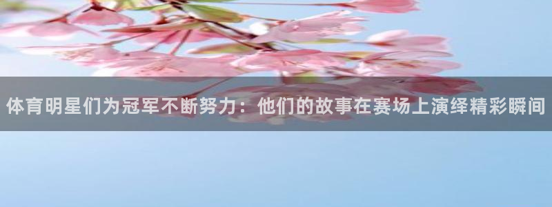 77体育app下载官网：体育明星们为冠军不断努力：他们的故事在赛场上演绎精彩瞬间