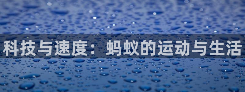 77体育：科技与速度：蚂蚁的运动与生活
