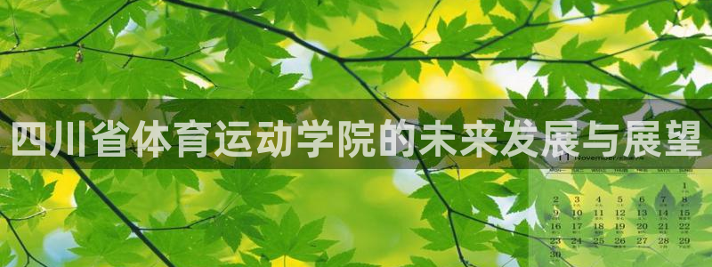 77体育：四川省体育运动学院的未来发展与展望